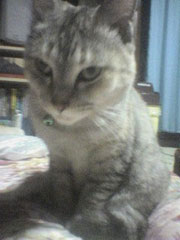 �������ɂ݂��邨���؂����