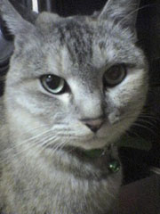 ���߂邨���؂����