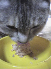 �ѐH�������؂����