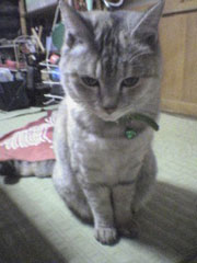 ���Ȃ��邨���؂����