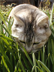 �k�������؂����