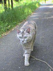 ���U�����邨���؂����