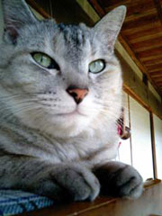 �O�������邨���؂����