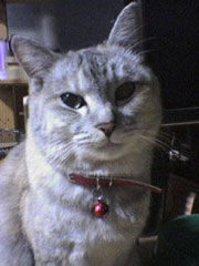 ���߂邨���؂����