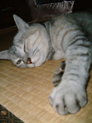 �E�C���N���邨���؂����