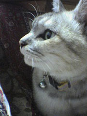 ���炪�����������؂����