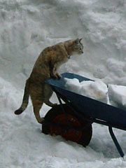 ��Ƃ����؂����